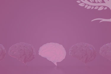 Neurologia: Diagnóstico e Tratamento Personalizado