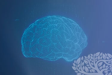 Dra. Nancy Huang | Neurologista